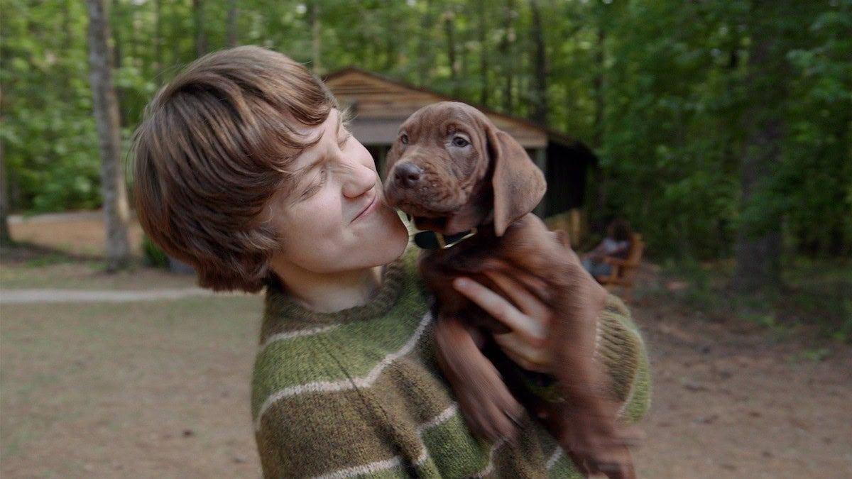 Netflix Unveils Scooby-Doo: Origins Teaser, Sparking Debate Over Live-Action Puppy Portrayal