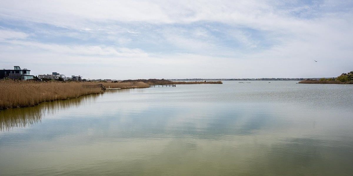 Vibrio vulnificus bacteria spreads along Atlantic Coast, prompting early warning system development.