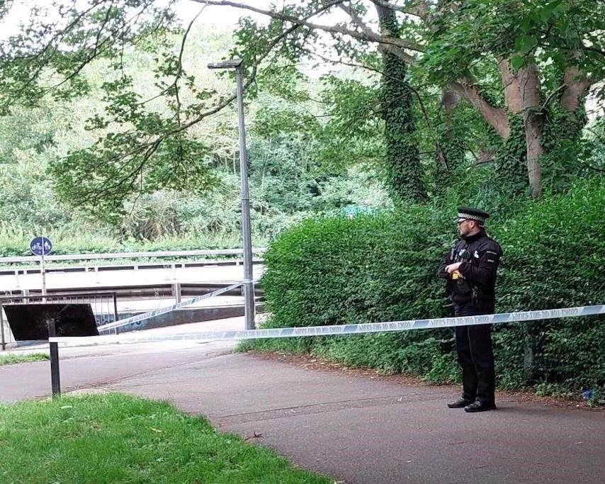 Police Question Three Teenagers After Chelmsford Central Park Murder