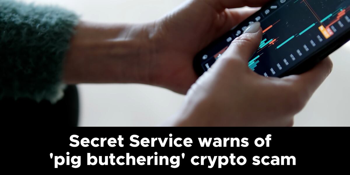 Secret Service issues warning about 'pig butchering' cryptocurrency investment scam targeting Americans