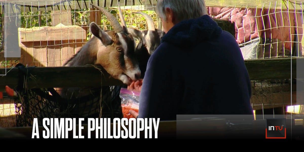 South Carolina Couple Operates Wildlife Rehabilitation Center on Three-Acre Property Dedicated to Animal Care