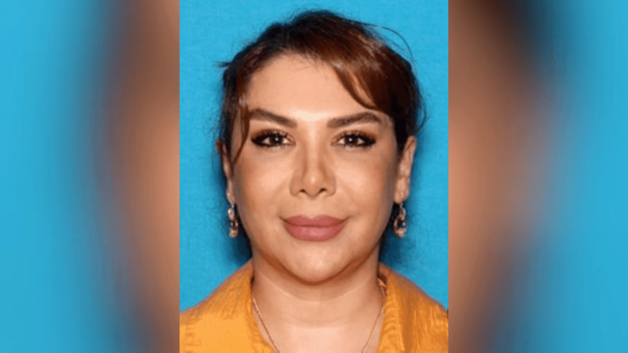 Iranian Businesswoman Arrested at LAX for Allegedly Brokering $70 Million Weapons Deal for Tehran