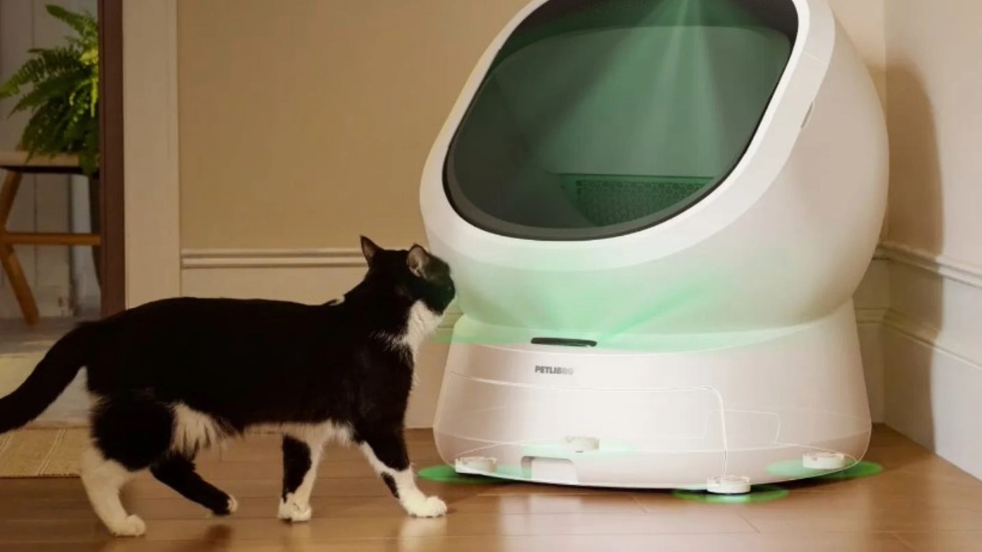 Petlibro's Luma Smart Litter Box uses AI to monitor cat health and recognize multiple cats