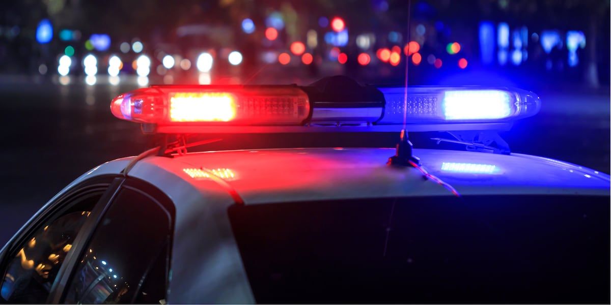 Social Media Influencer Arrested in Nashville After Allegedly Refusing to Pay $400 Food Bill