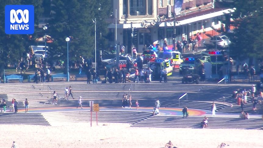 Swimmer critically injured by shark at Coogee Beach; nearby beaches closed.