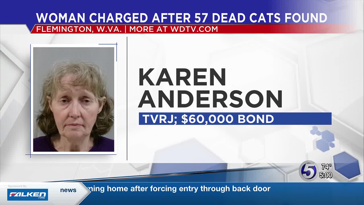 West Virginia Rescue Owner Charged After 57 Dead Cats Found in Backyard Shed
