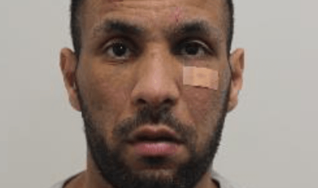 Thief who snatched £2 million Fabergé egg from handbag in Soho faces sentencing for theft and fraud