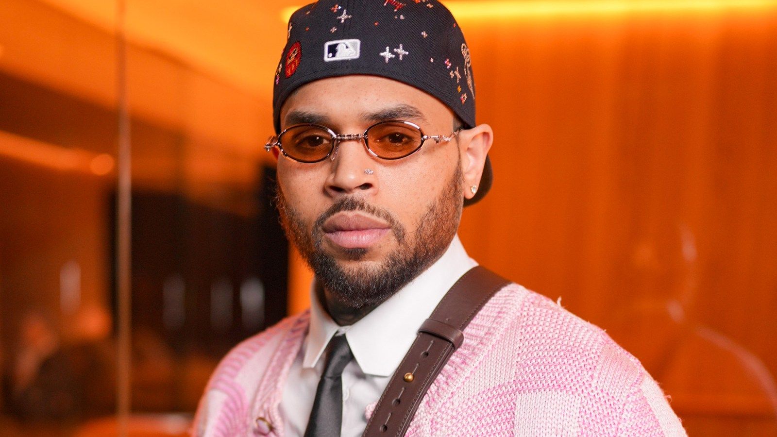 Jury Finds Chris Brown and Company Liable, Awards $12.9M in Dog Attack Case