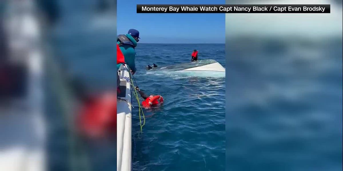 Monterey Bay Whale Watch Crew Rescues Two Fishermen from Capsized Boat Off California Coast