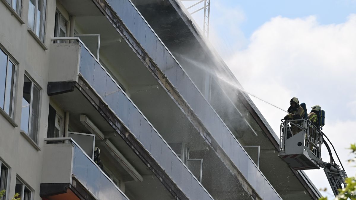Multiple Fatalities Confirmed as Deadly Fire Engulfs Antwerp Apartment Tower; Rescue Efforts Ongoing