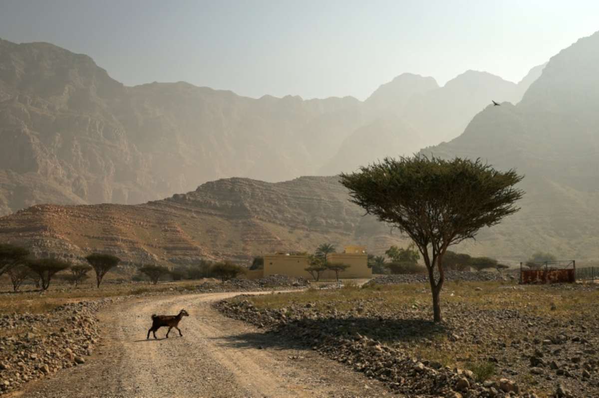 UN weather agency confirms 2015–2025 as hottest decade on record, averaging 1.43°C above pre-industrial levels