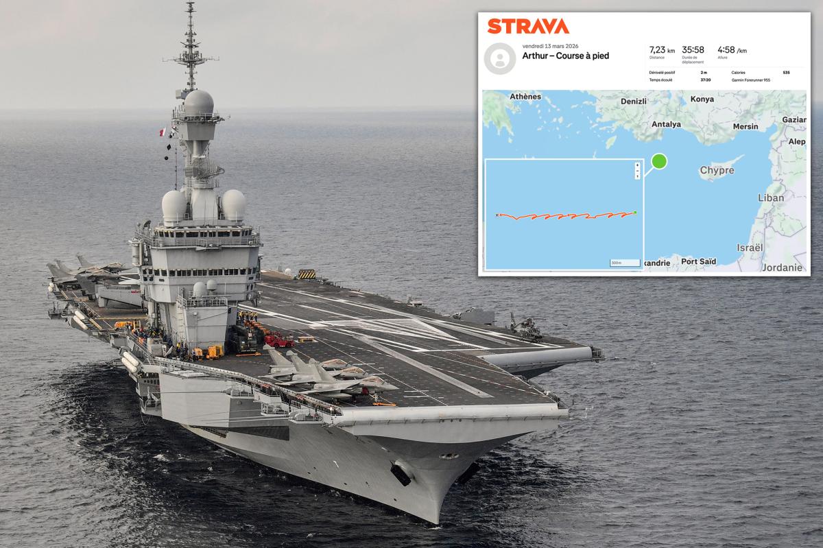 French naval officer's public Strava workout inadvertently reveals aircraft carrier Charles de Gaulle's real-time position near Cyprus