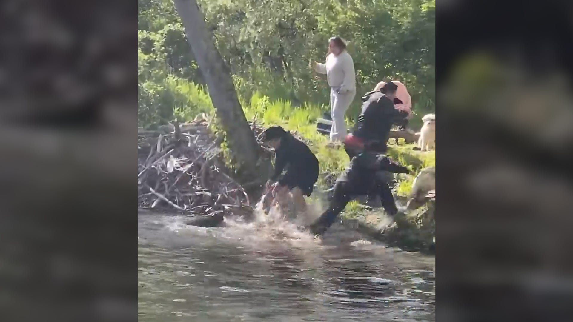 Rabies Confirmed in Beaver After Biting 8-Year-Old Boy in New Jersey