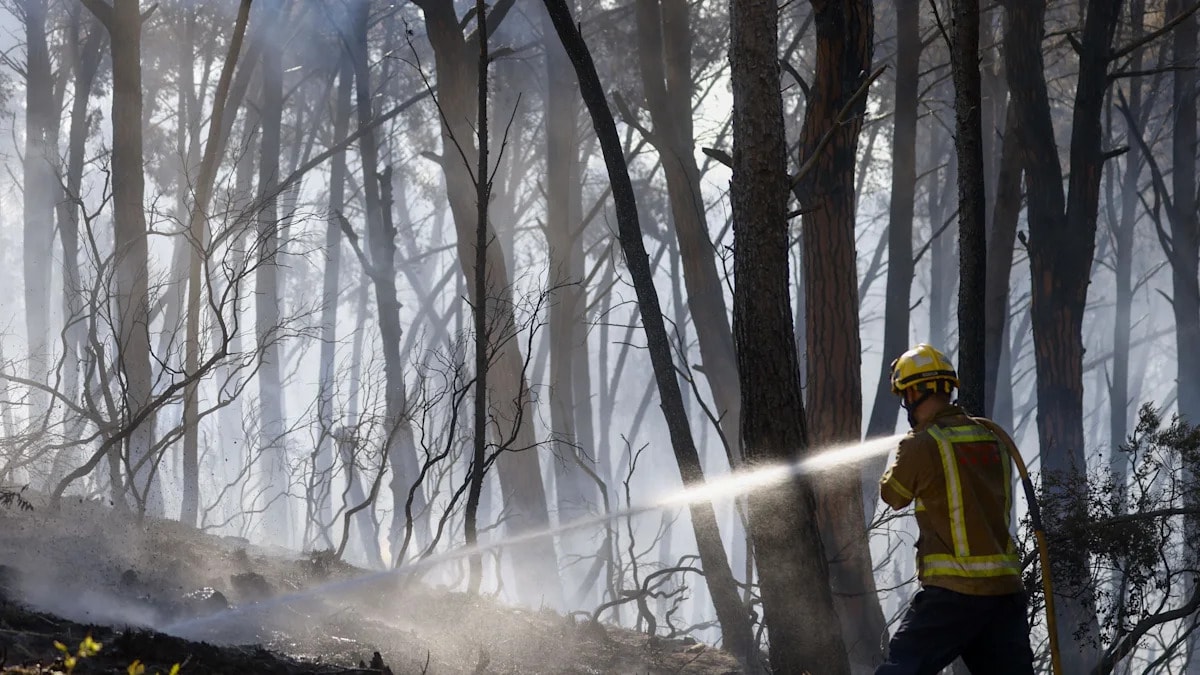 Deadliest Almería Wildfire in Two Decades Kills Dozens, Foreigners Among Missing