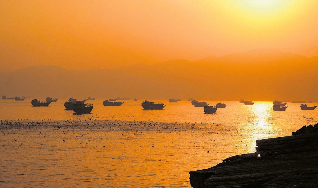 Oman Proposes Shared Hormuz Management, Facing Iranian Resistance and Market Concerns