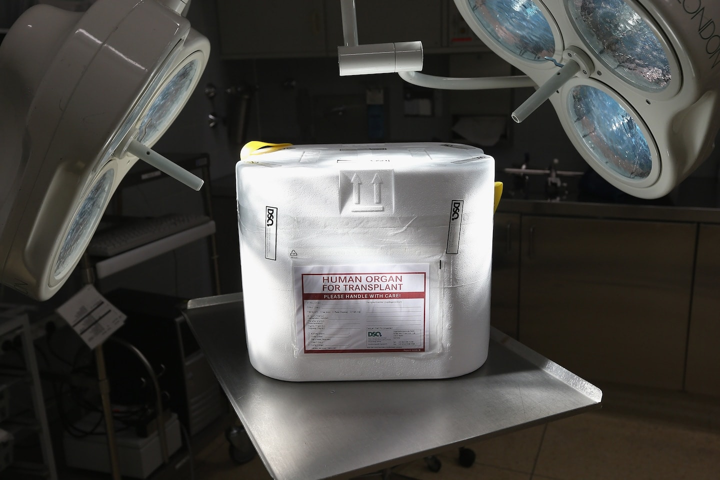 HHS Decertifies Organ Network Amid Alarming Patient Safety Failures, Investigation Reveals Donors Not Dead