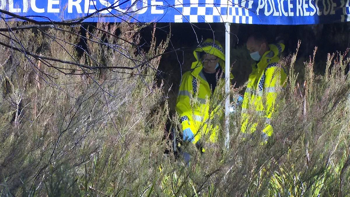 Police launch investigation after woman's body found inside suitcase near Goulburn, NSW