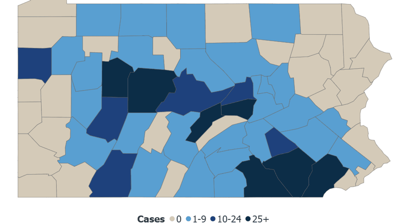 Pennsylvania Reports Fifth Measles Associated Death As Statewide Outbreak Nears 1000 Cases